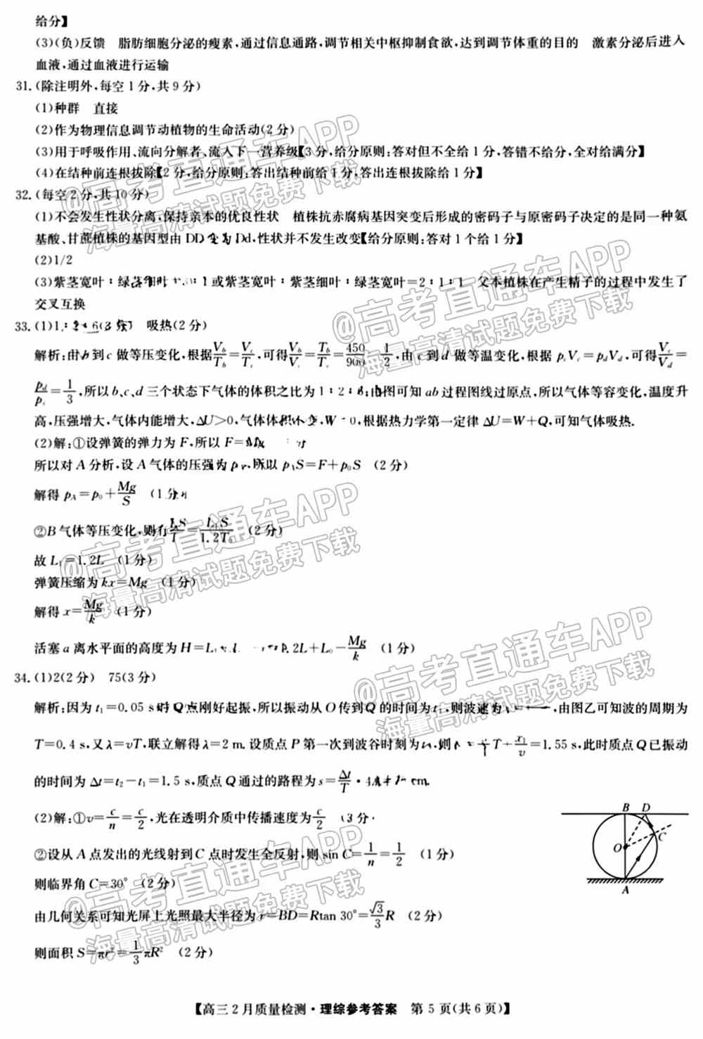 2022九师联盟理综试卷（全国卷）-九师联盟2022理科综合答案（已更新）