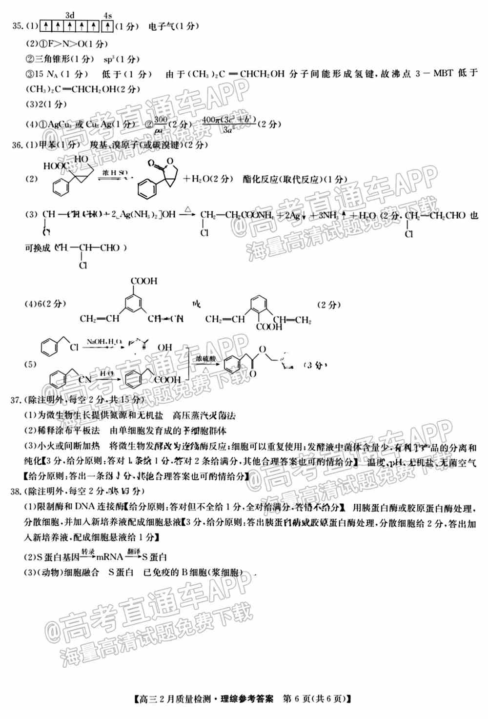 2022九师联盟理综试卷（全国卷）-九师联盟2022理科综合答案（已更新）
