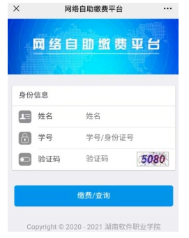 2022年湖南软件职业技术大学单招报考费缴纳
