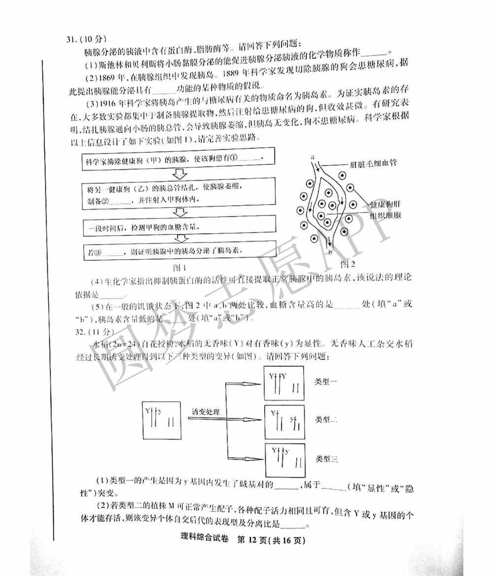 2022届江南十校一模联考各科试卷及答案汇总（3月联考）