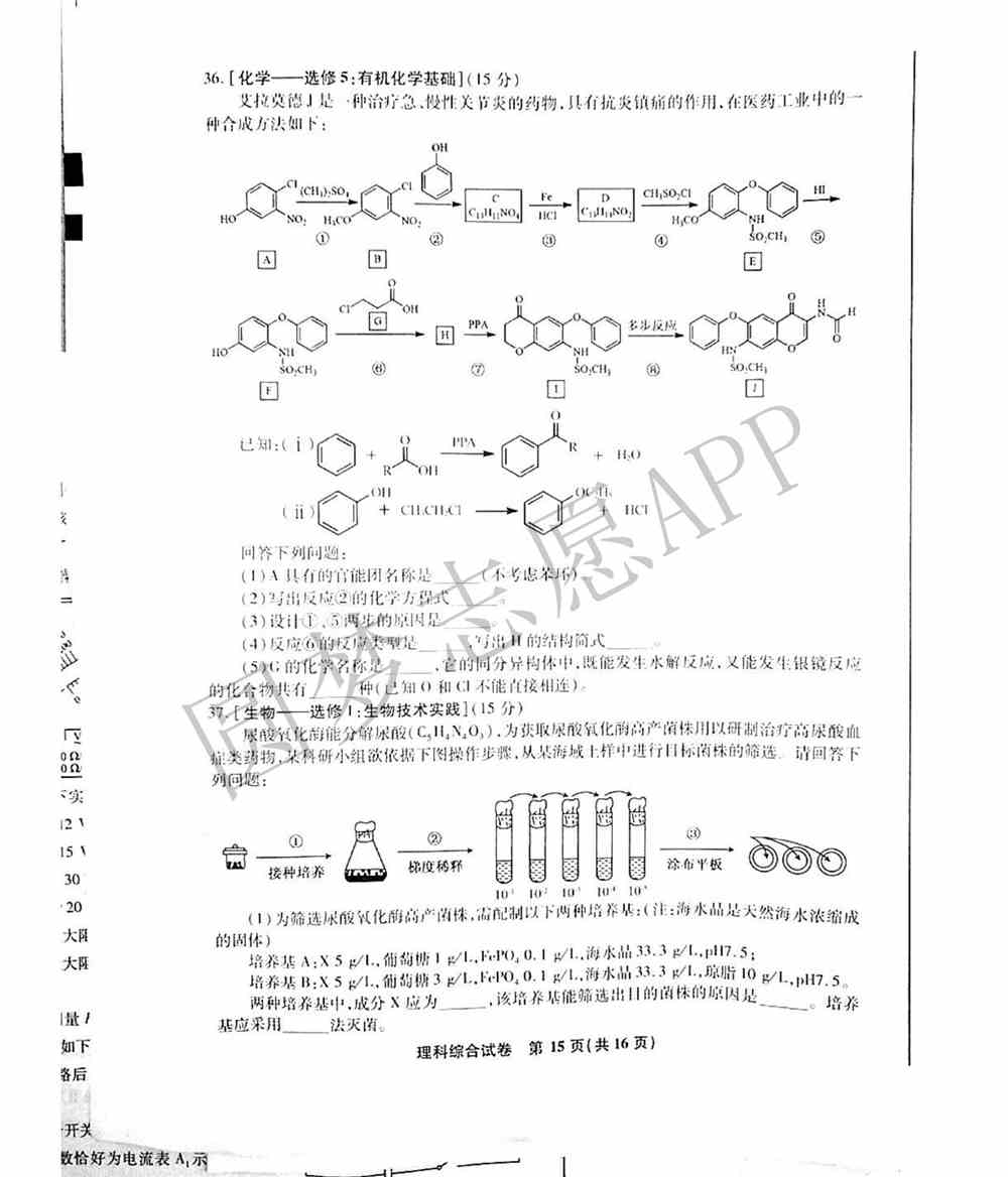 2022届江南十校一模联考各科试卷及答案汇总（3月联考）