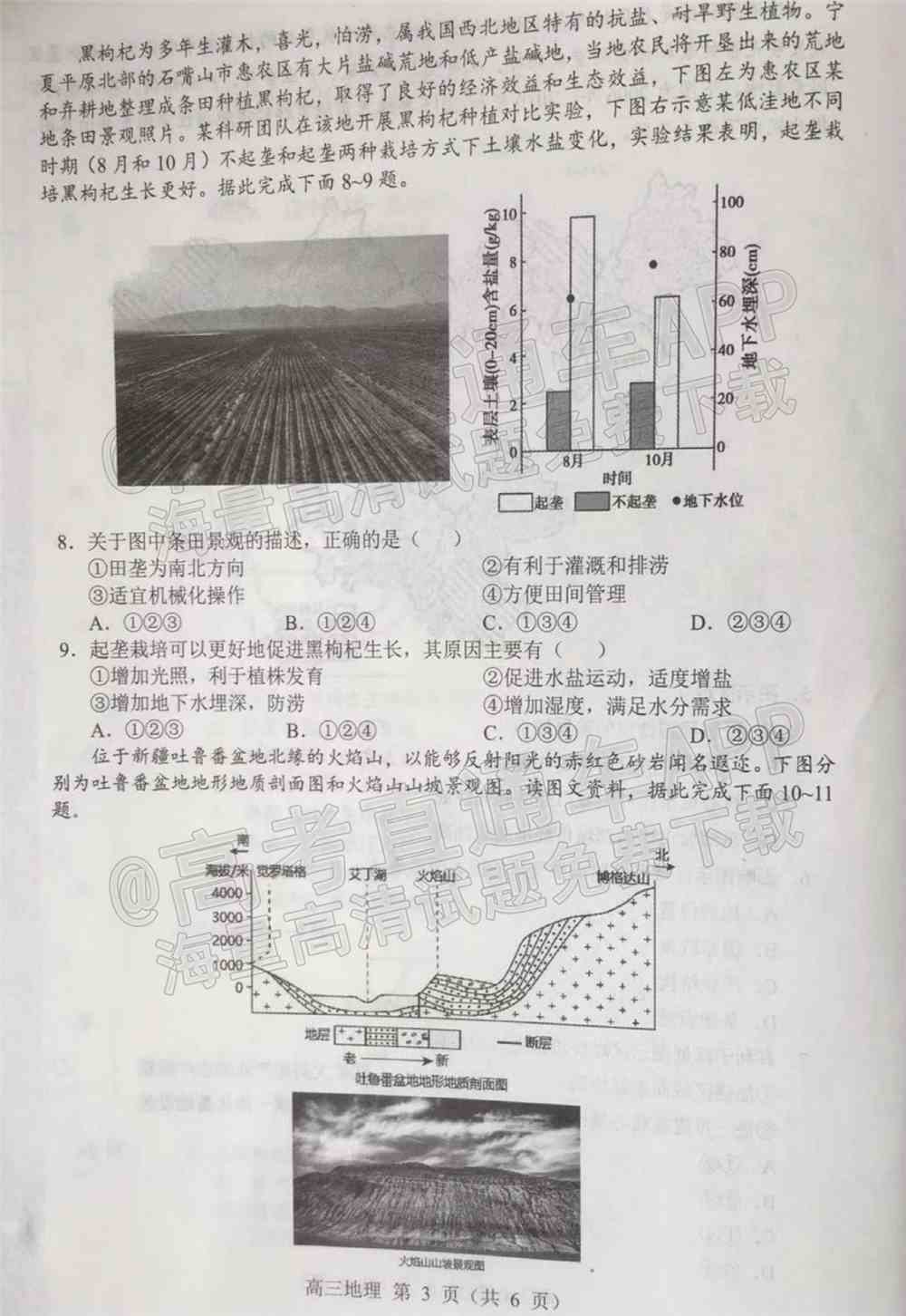 2022沈阳市重点高中联合体高三下期第一次模拟考试卷及答案