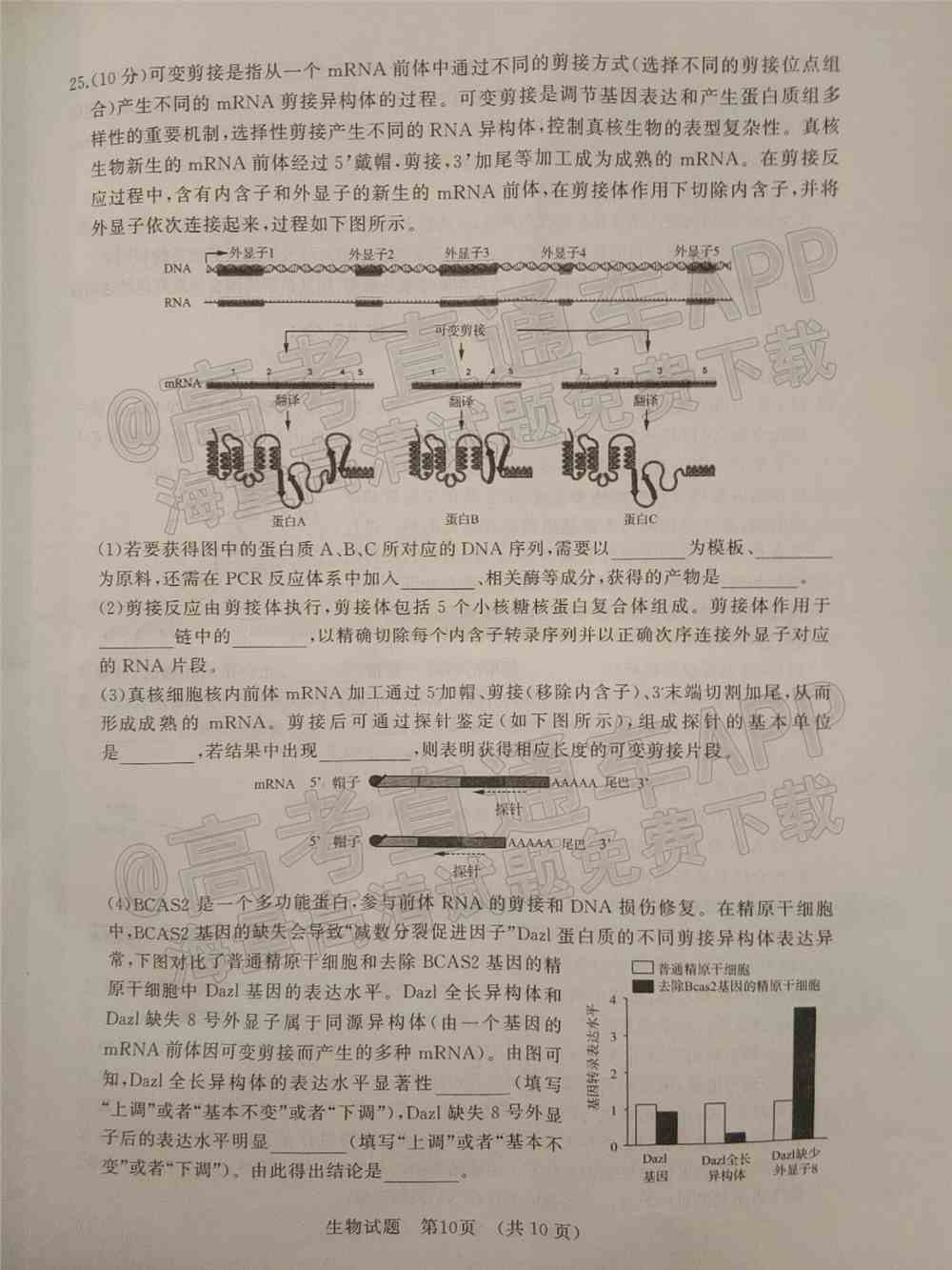 2022山东省高三2月联考试题及答案-山东省2022届高三2月联考答案