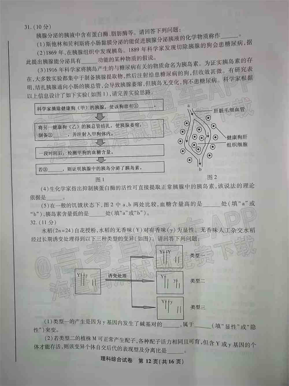 2022江南十校高三一模联考各科试卷及答案解析汇总