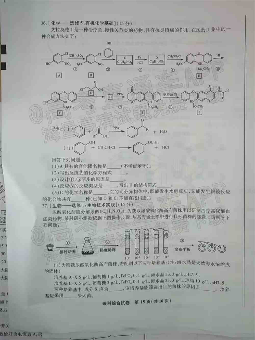 2022江南十校高三一模联考各科试卷及答案解析汇总