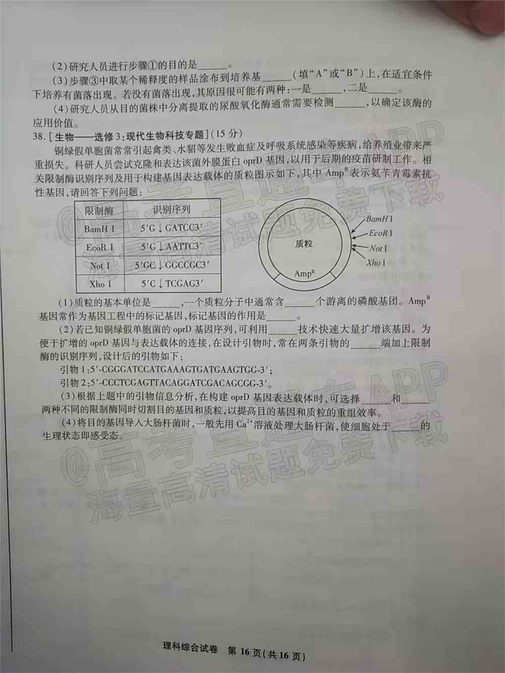 2022江南十校高三一模联考各科试卷及答案解析汇总