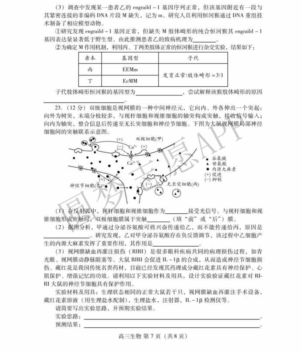 2022潍坊一模各科试题及答案-潍坊高三一模试题及答案2022