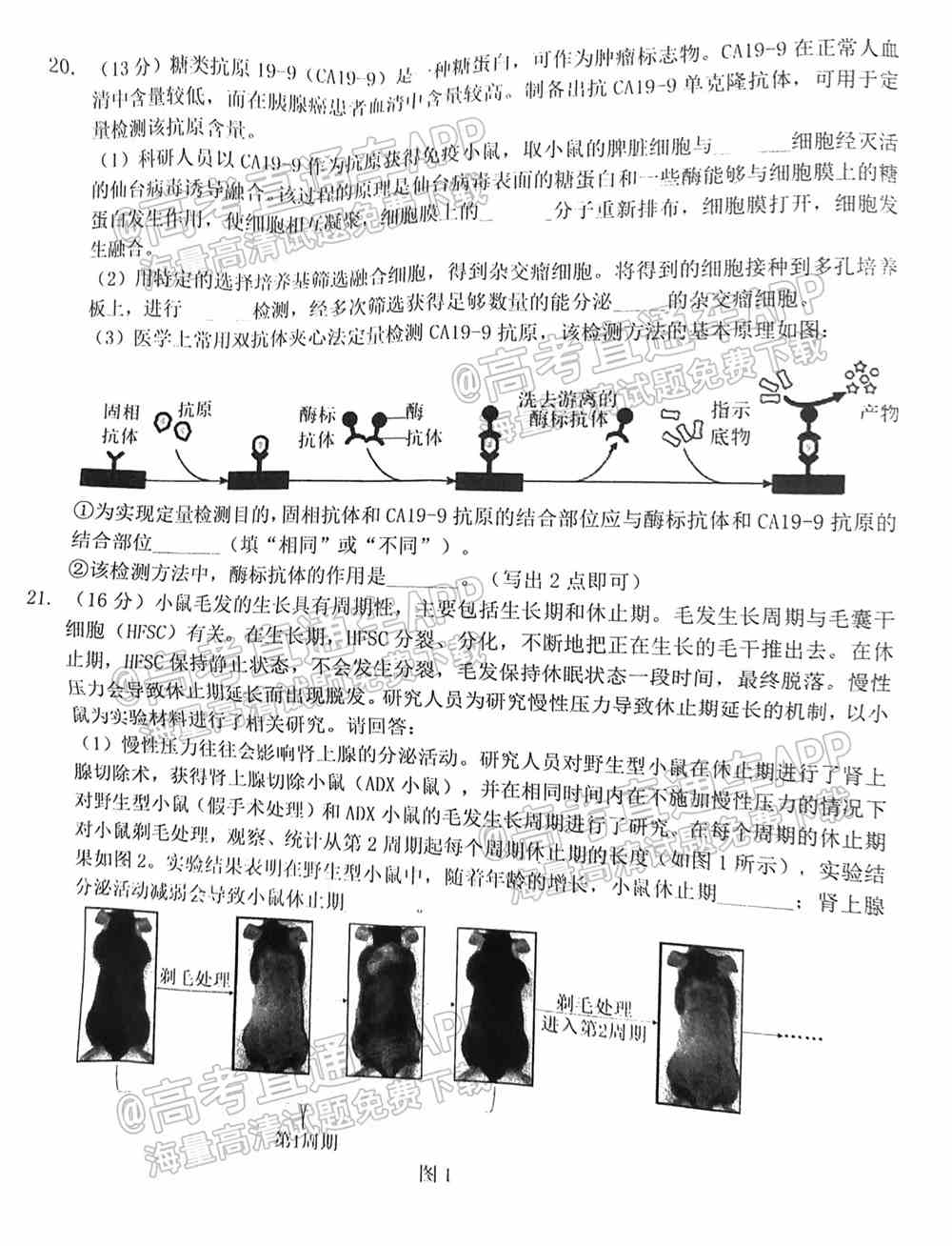 2022泉州第三次质检答案-2022泉州高三第三次质检答案及试题