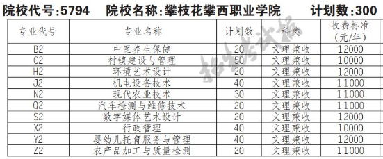 2022年攀枝花攀西职业学院高职单招普高类专业计划