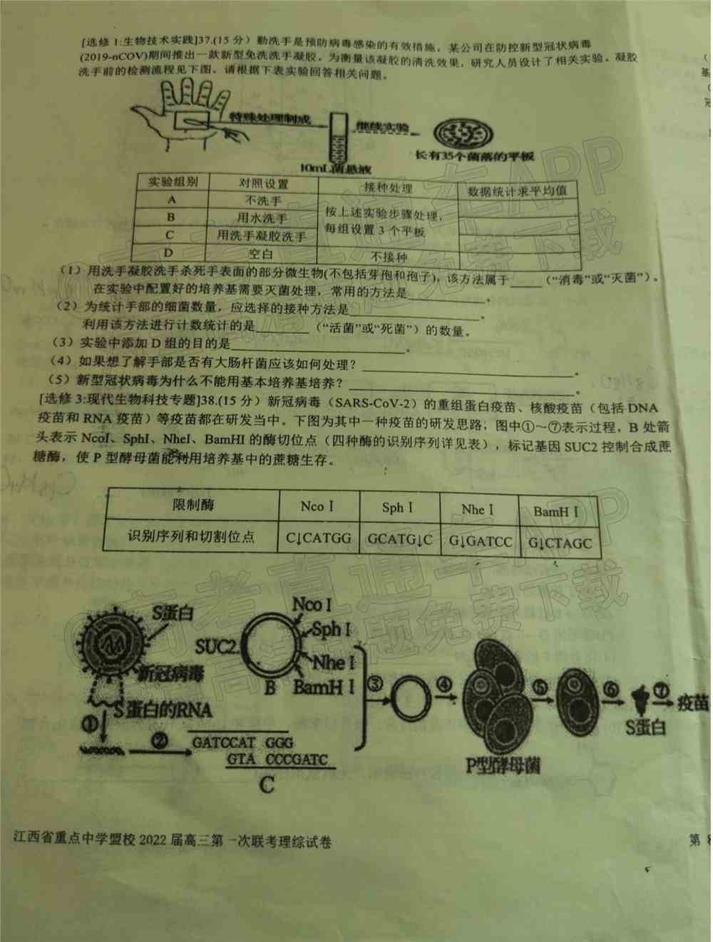 江西省重点中学盟校2022届高三第一次联考试题及答案-江西省重点中学盟校联考答案