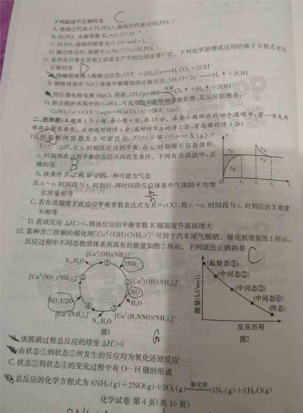 湖南十校联考试卷及答案-湖南省五市十校联考