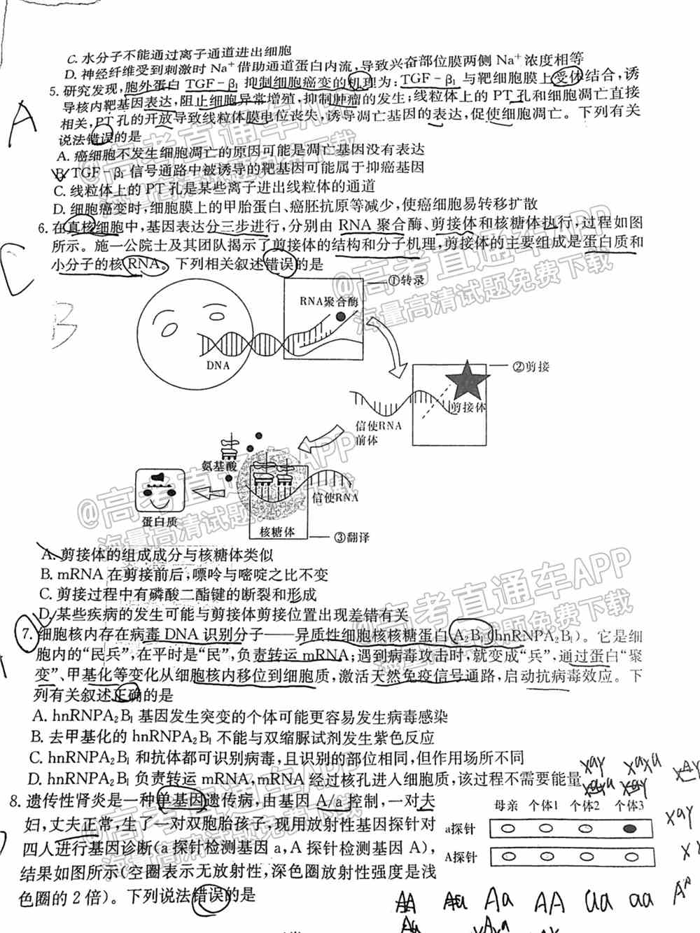 湖南十校联考试卷及答案-湖南省五市十校联考