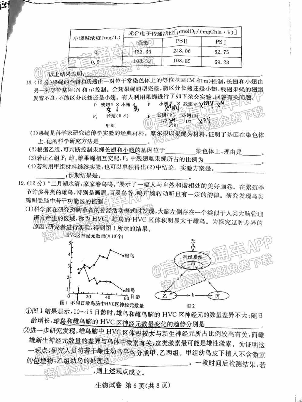 湖南十校联考试卷及答案-湖南省五市十校联考