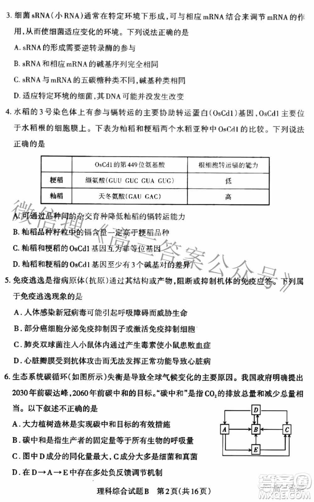 2022年山西省高考考前适应性测试理科综合试题及答案