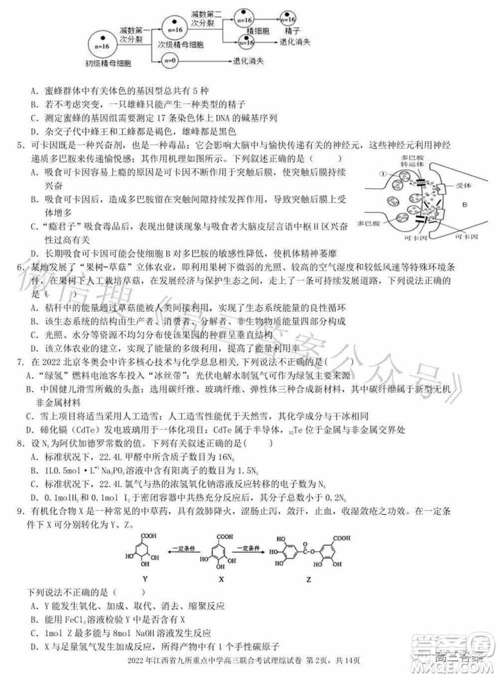 2022年江西省九校高三联合考试理科综合试题及答案