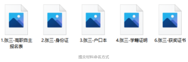 提交报名材料