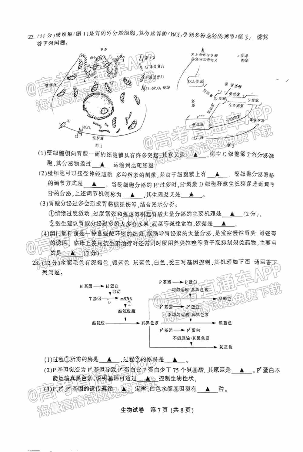 2022苏北七市高三一模各科答案及解析（更新中）