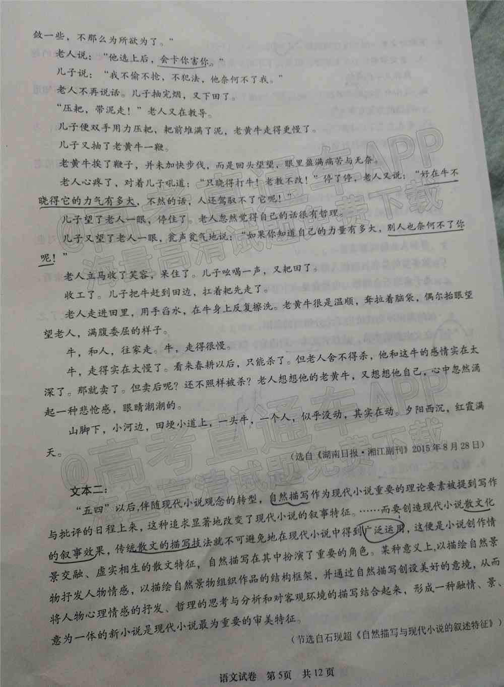 湖南十校联考试卷及答案-湖南省五市十校联考