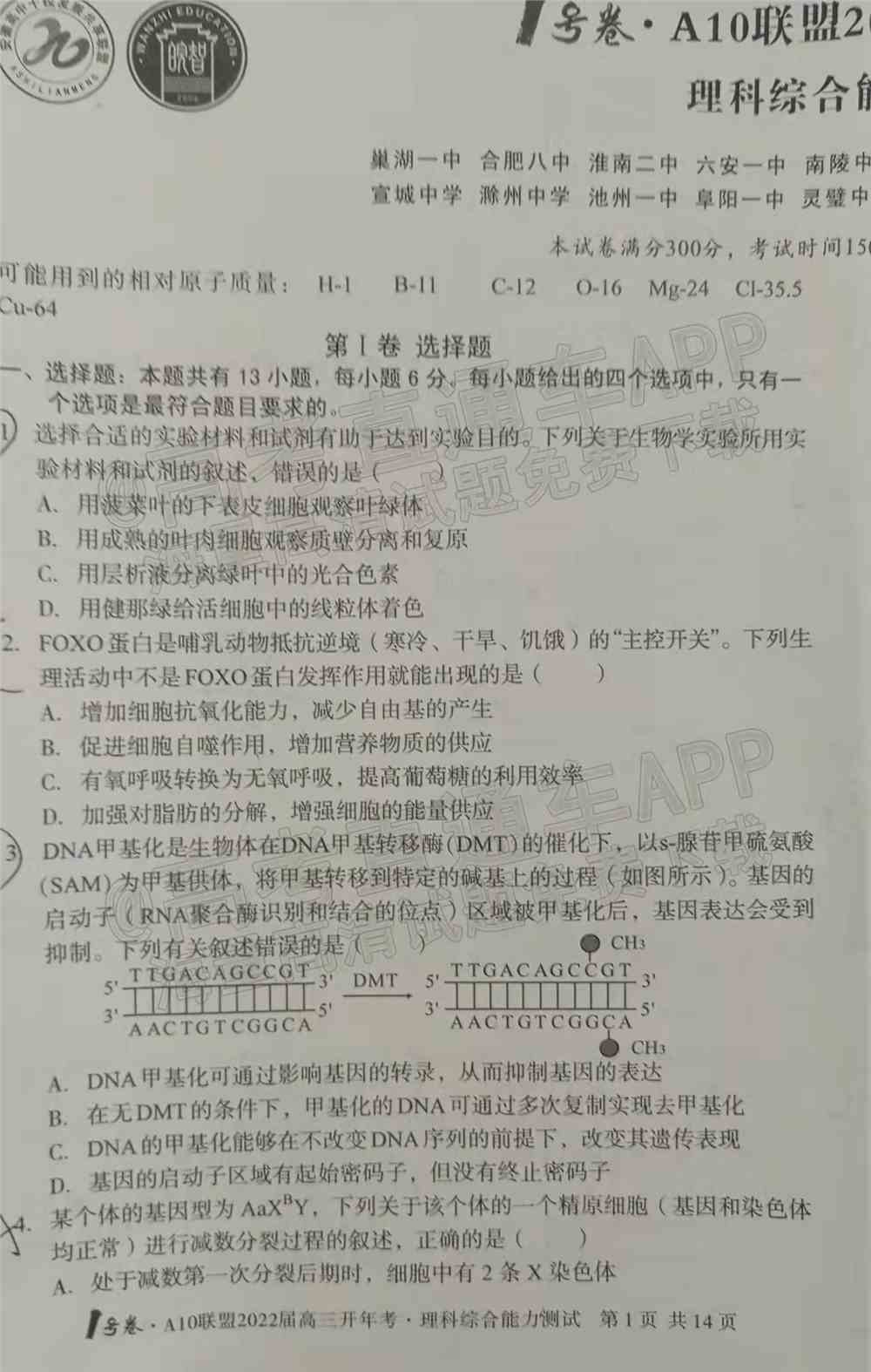 2022安徽A10高三开年考试卷及答案-安徽A10联盟高三2月开年考答案