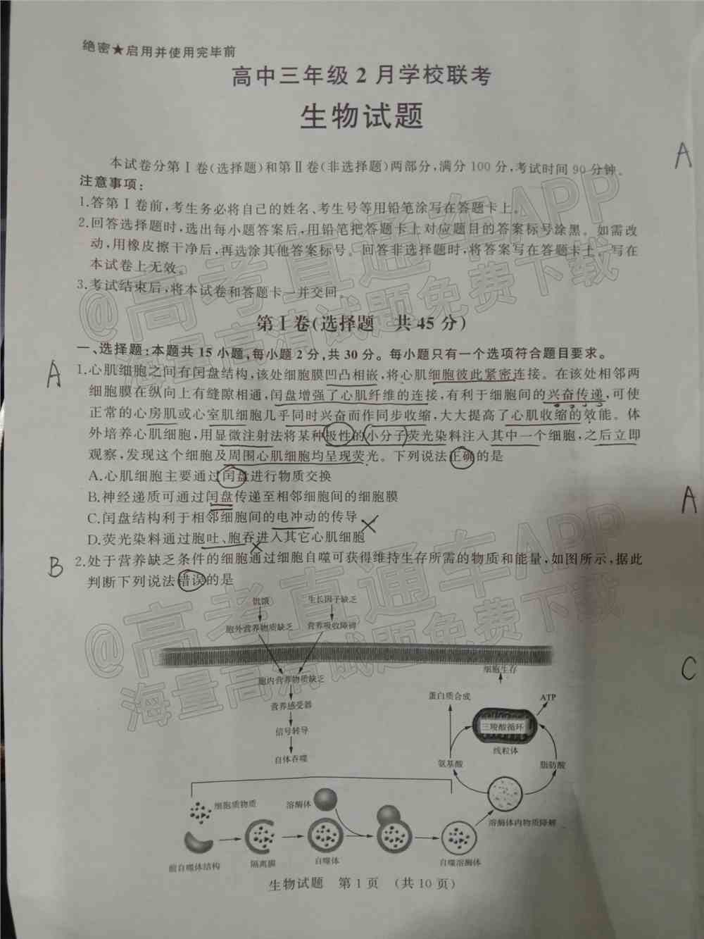 2022年济南市十一校高三2月联考试卷及答案-2022届高三济南十一校2月联考各科答案