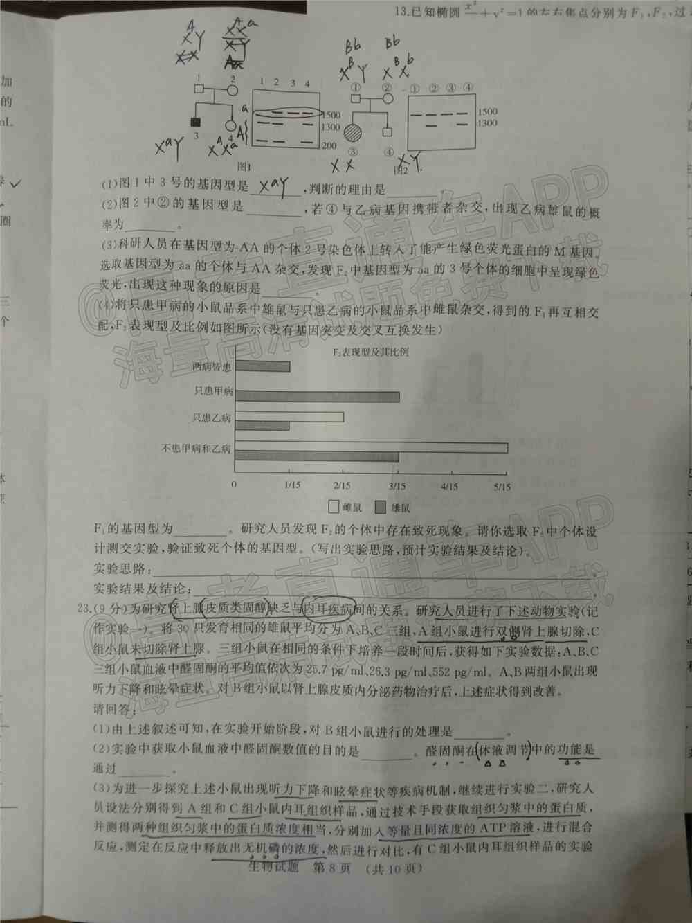 2022年济南市十一校高三2月联考试卷及答案-2022届高三济南十一校2月联考各科答案