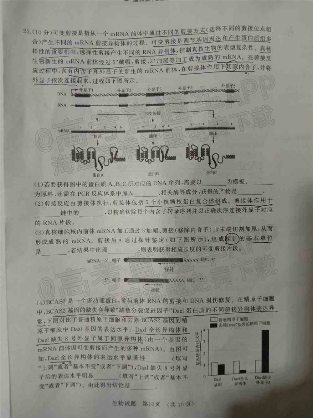 2022年济南市十一校高三2月联考试卷及答案-2022届高三济南十一校2月联考各科答案