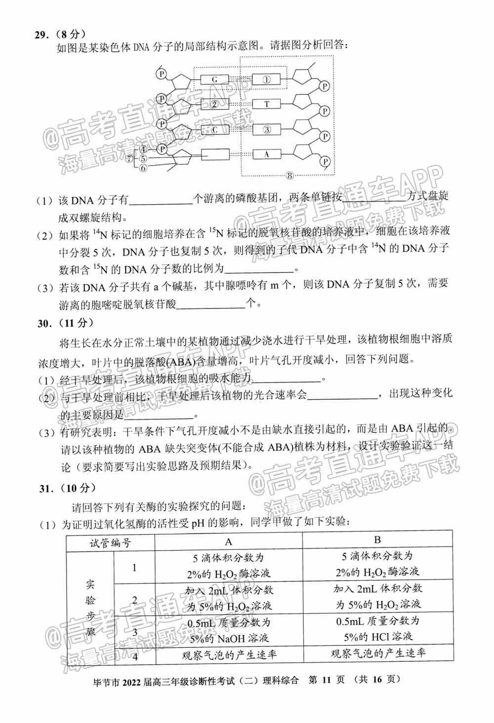 2022毕节二诊各科试题与试题答案解析（已更新）