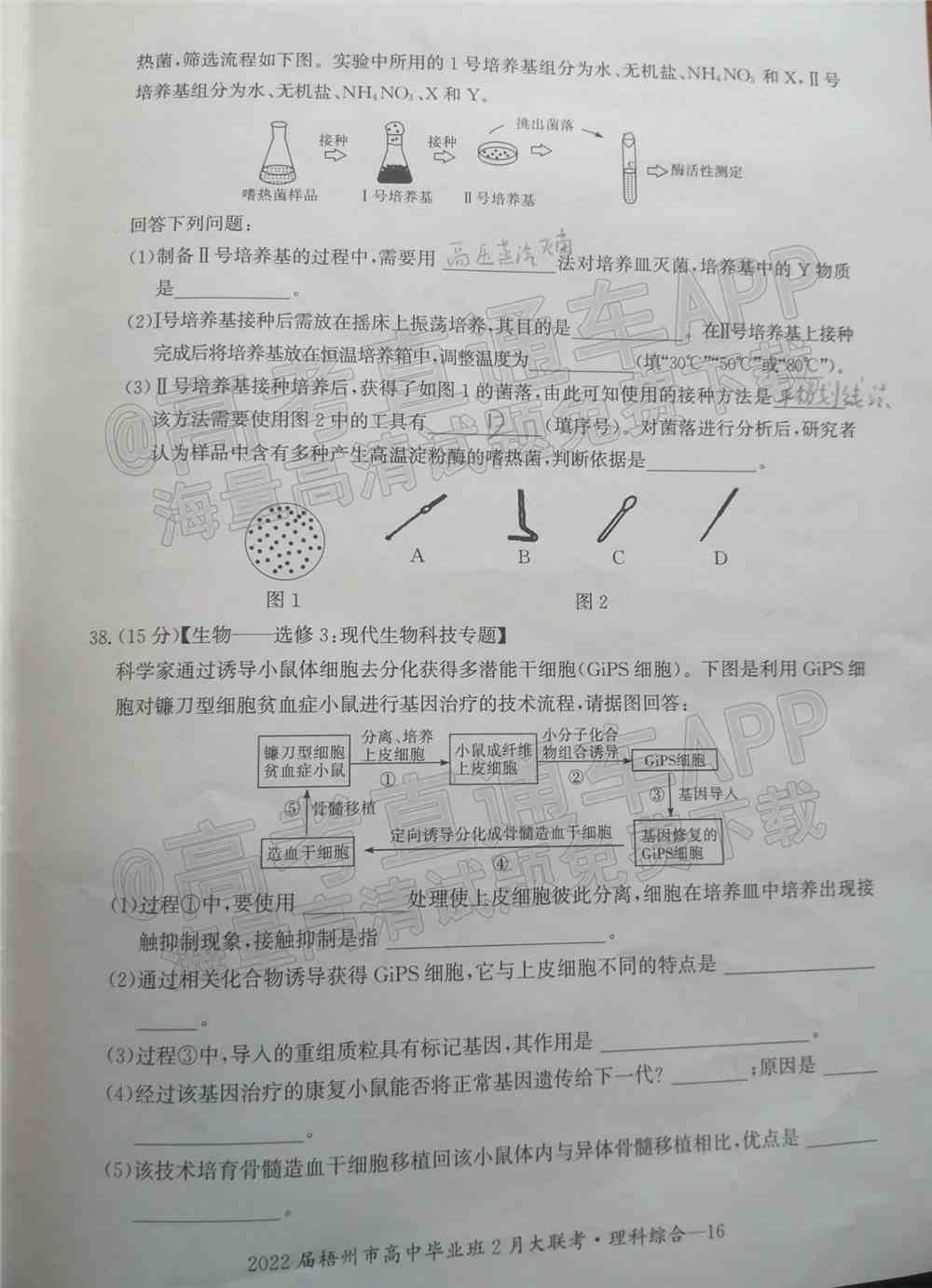 2022梧州高三2月联考开学考各科试卷及答案-广西梧州开学联考2022试卷答案