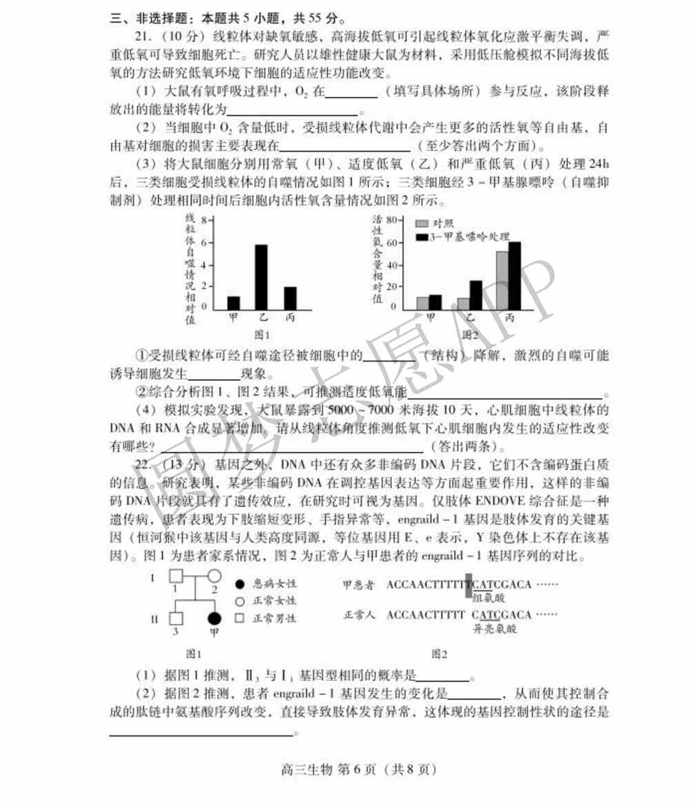 2022潍坊一模各科试题及答案-潍坊高三一模试题及答案2022