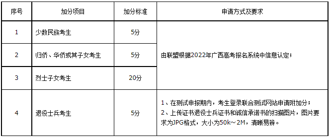 附加分项目