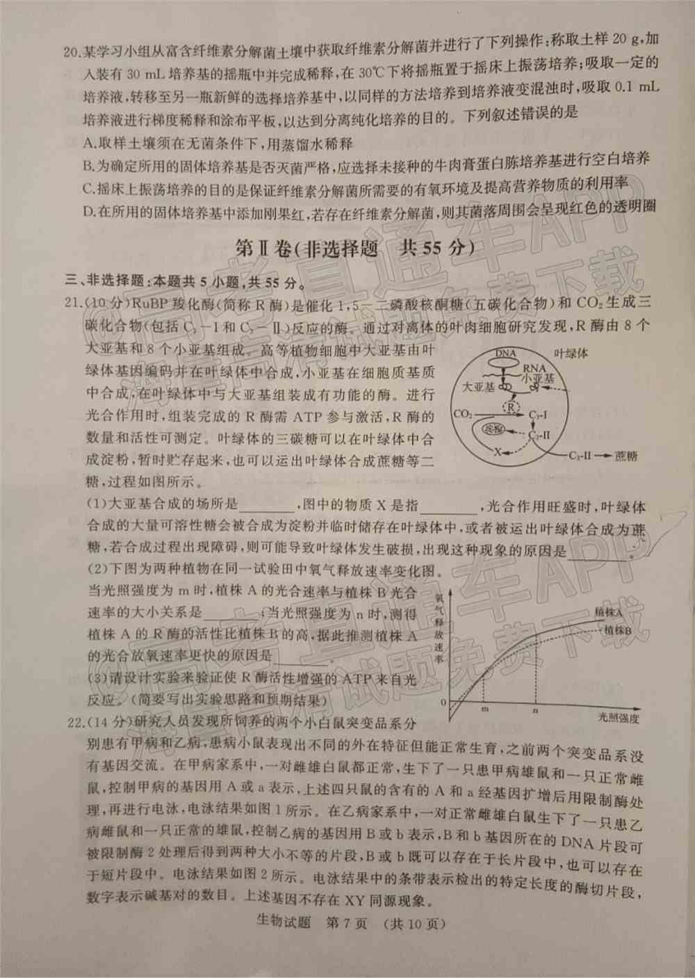 2022山东省高三2月联考试题及答案-山东省2022届高三2月联考答案