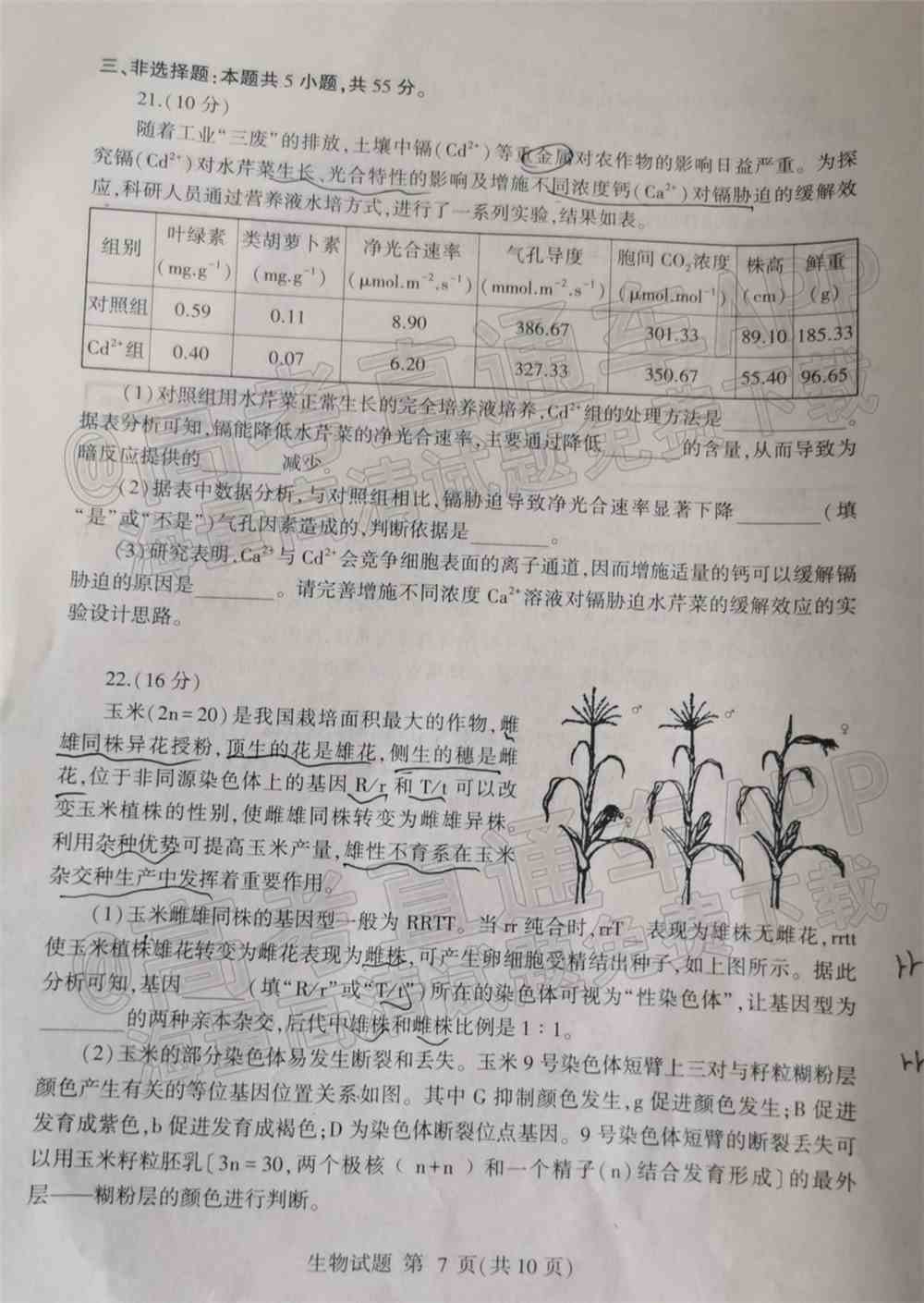 2022临沂高三一模各科试卷及参考答案-临沂一模2022答案及试卷