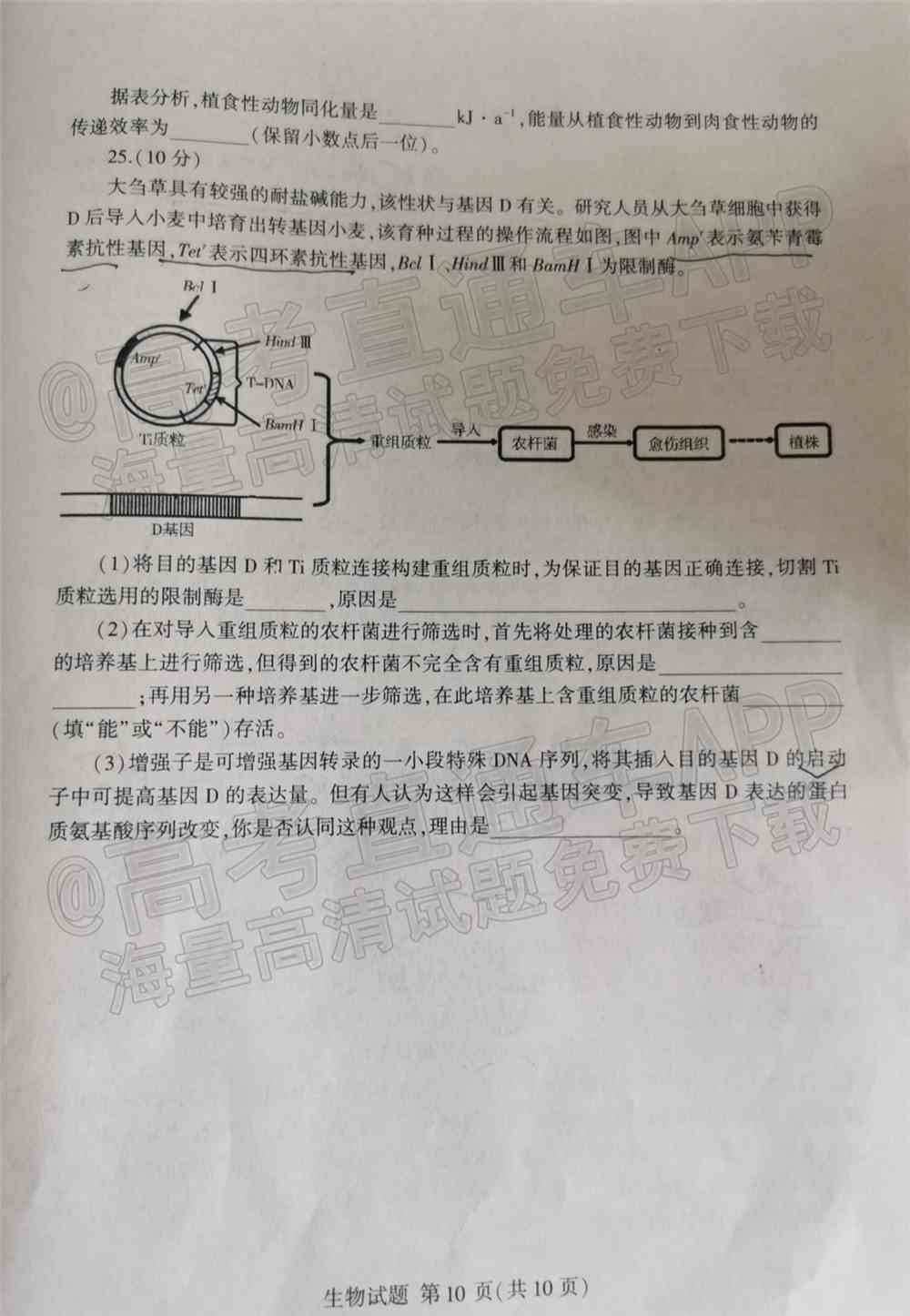 2022临沂高三一模各科试卷及参考答案-临沂一模2022答案及试卷