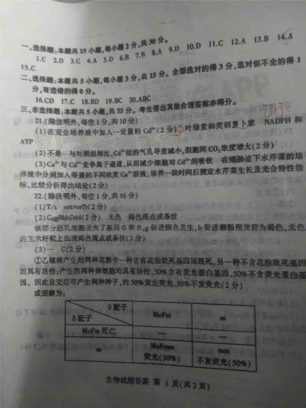 2022临沂高三一模各科试卷及参考答案-临沂一模2022答案及试卷