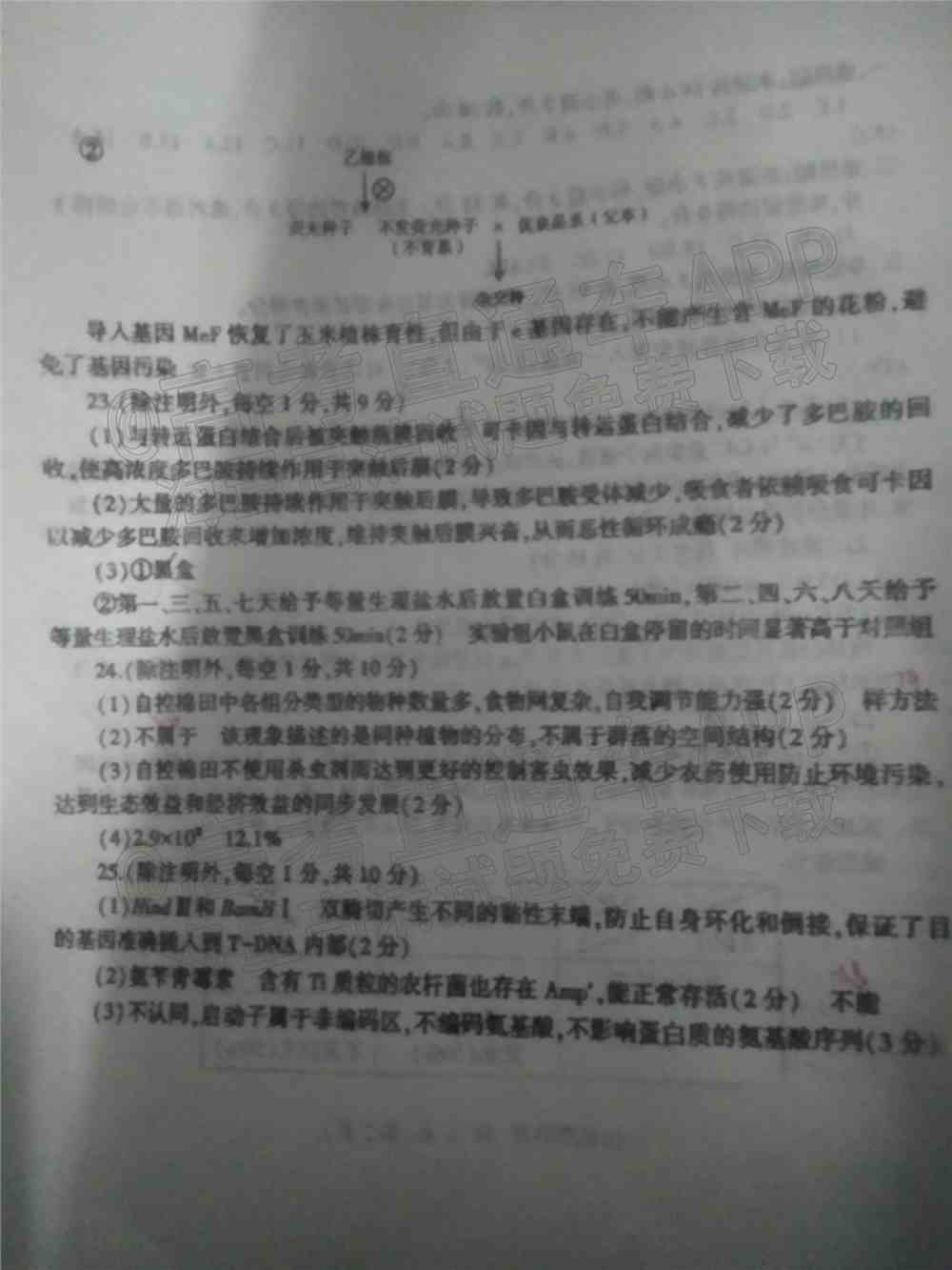2022临沂高三一模各科试卷及参考答案-临沂一模2022答案及试卷