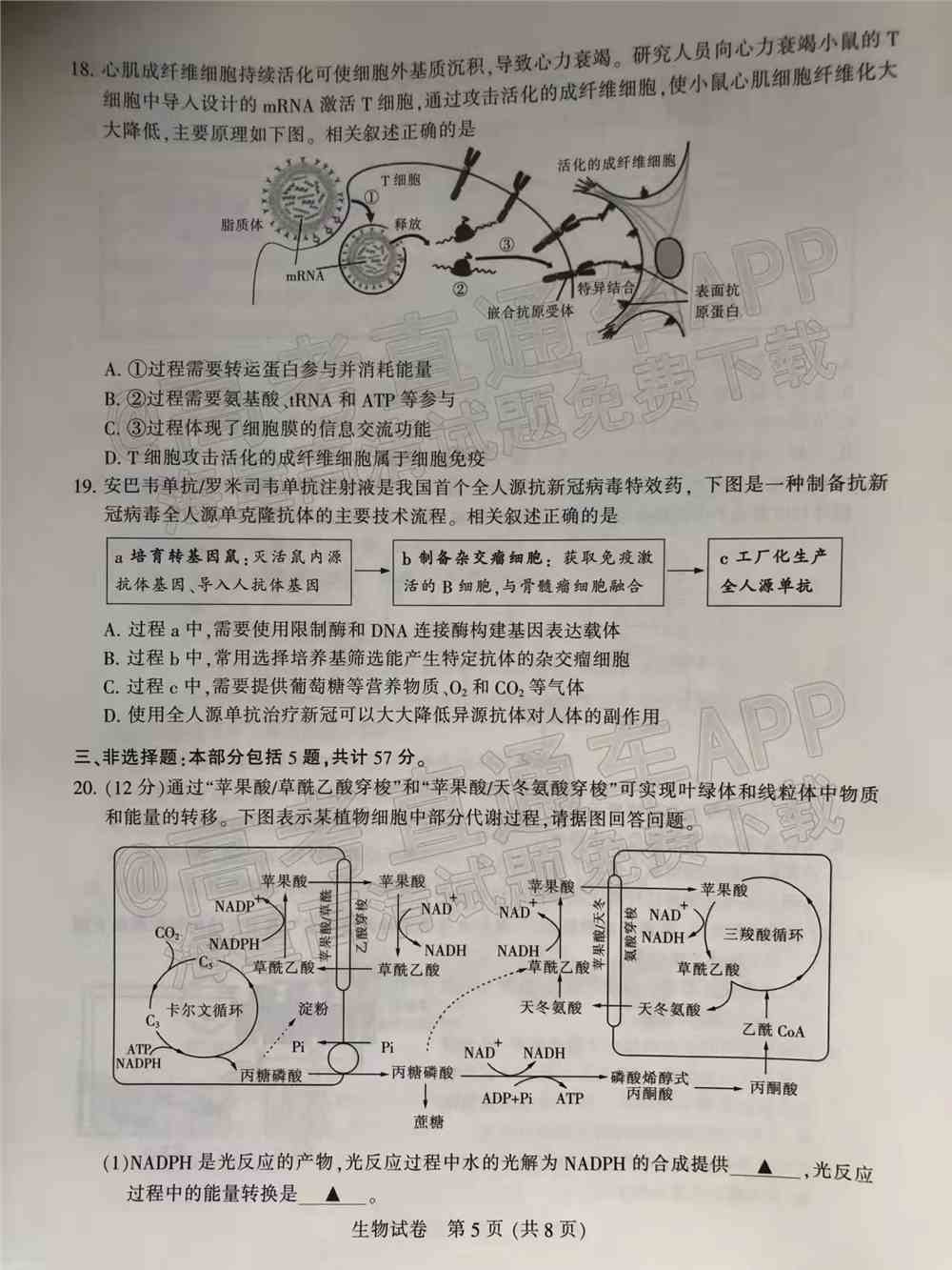 2022扬州高三一模-扬州一模2022试卷答案（含物理、化学、生物）（更新中）