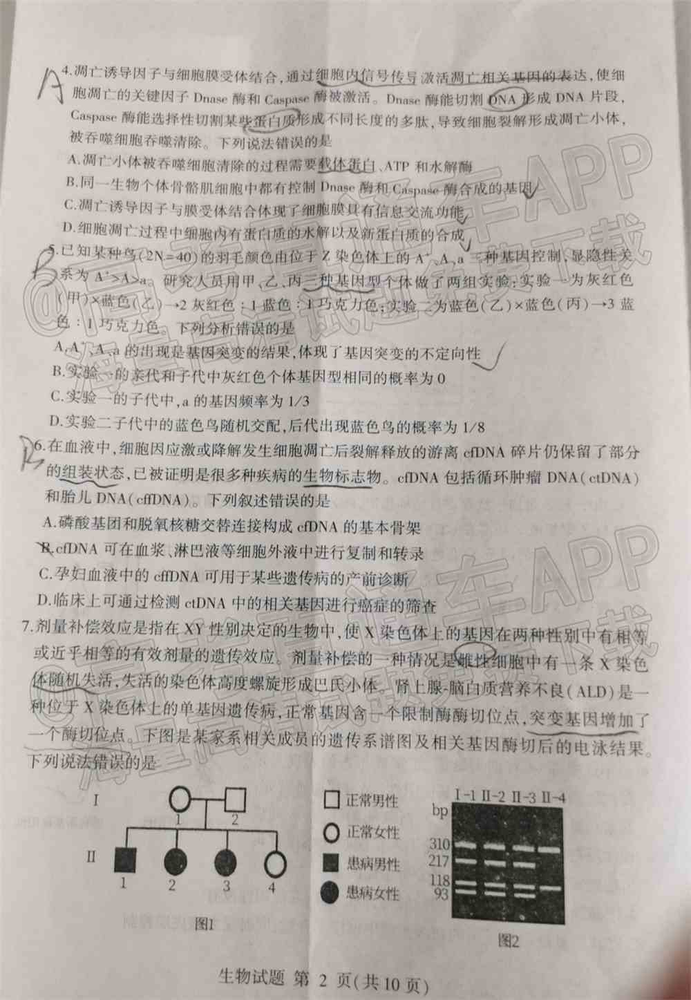 2022临沂高三一模各科试卷及参考答案-临沂一模2022答案及试卷