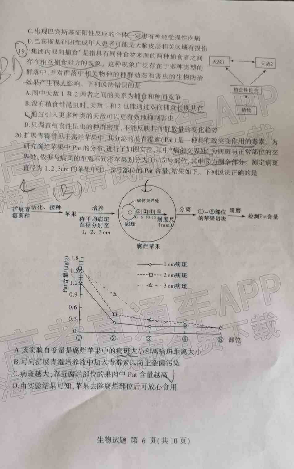 2022临沂高三一模各科试卷及参考答案-临沂一模2022答案及试卷