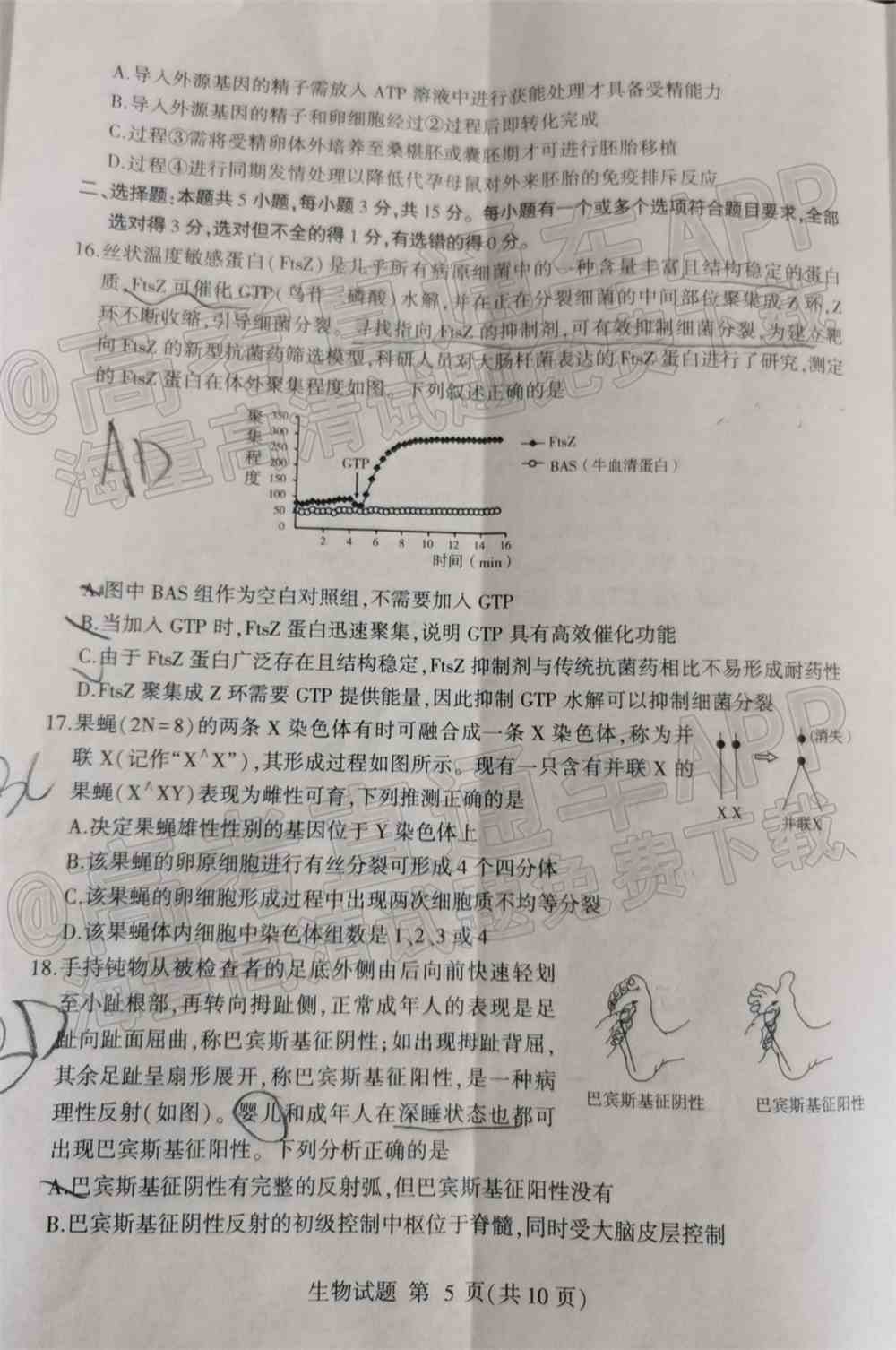 2022临沂高三一模各科试卷及参考答案-临沂一模2022答案及试卷