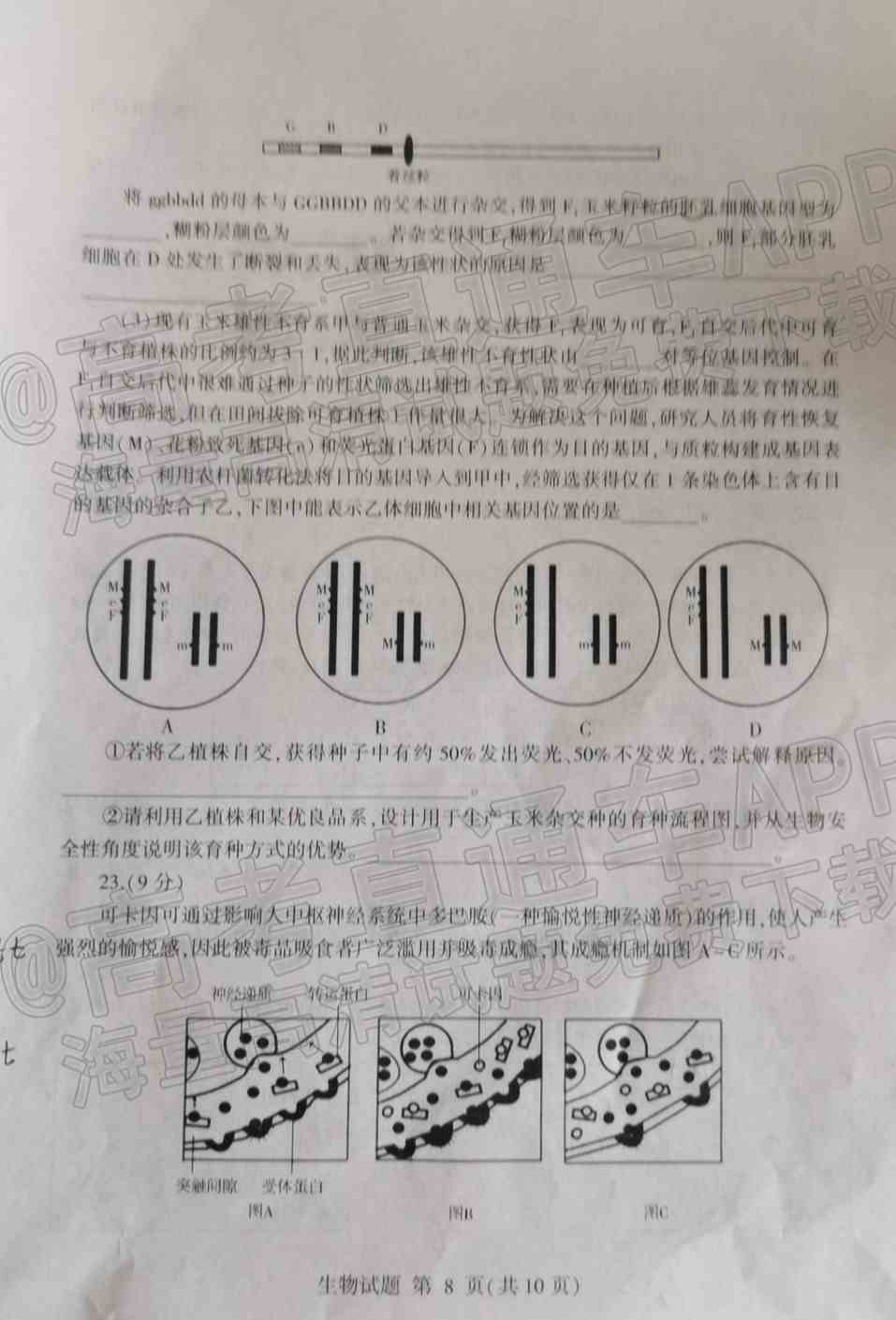 2022临沂高三一模各科试卷及参考答案-临沂一模2022答案及试卷
