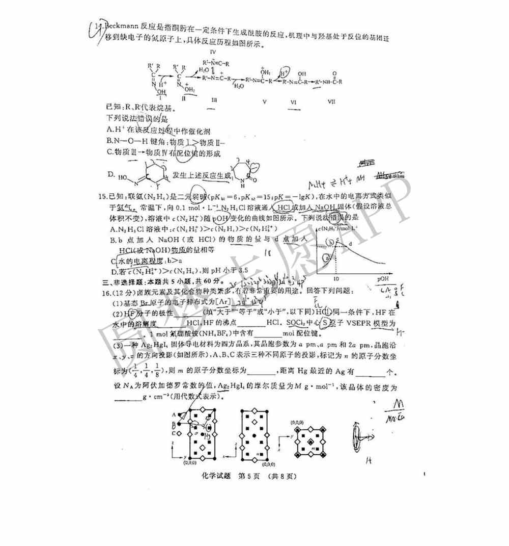 2022济南一模各科试题及答案-济南2022高三一模答案试卷汇总