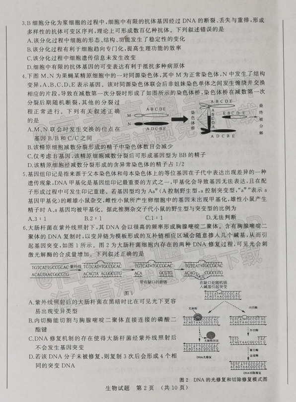 2022济南一模各科试题及答案-济南2022高三一模答案试卷汇总