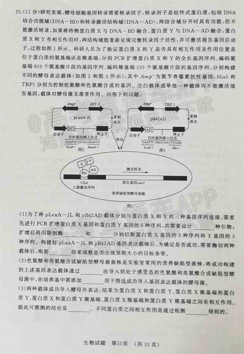 2022济南一模各科试题及答案-济南2022高三一模答案试卷汇总