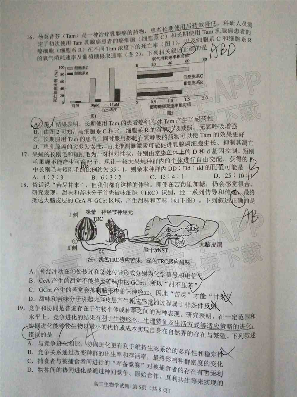 2022日照一模高三试卷及答案-山东日照一模高三答案