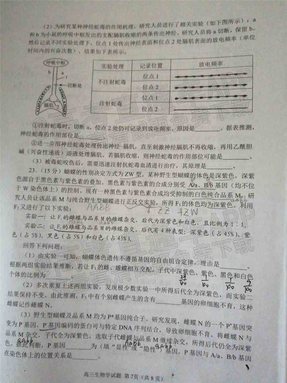 2022日照一模高三试卷及答案-山东日照一模高三答案