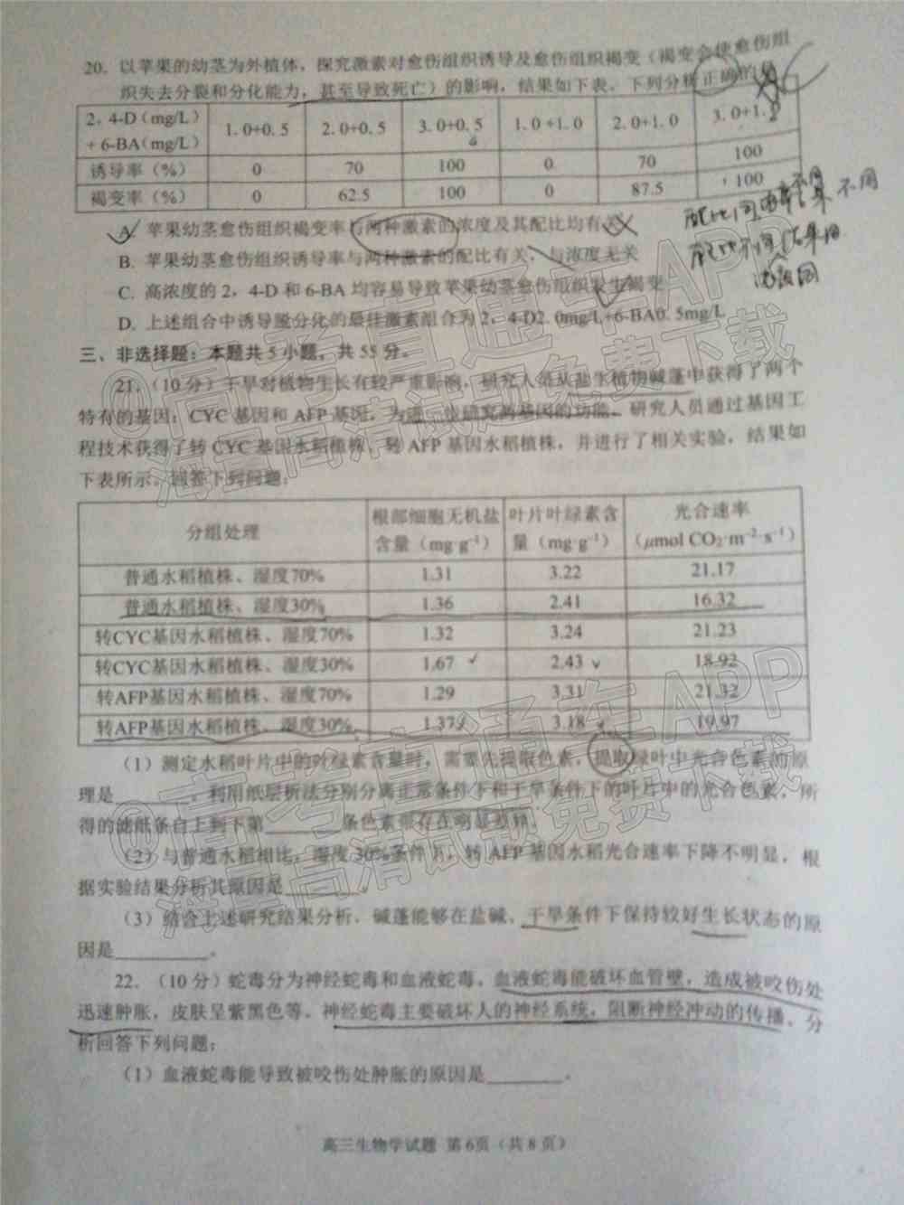 2022日照一模高三试卷及答案-山东日照一模高三答案