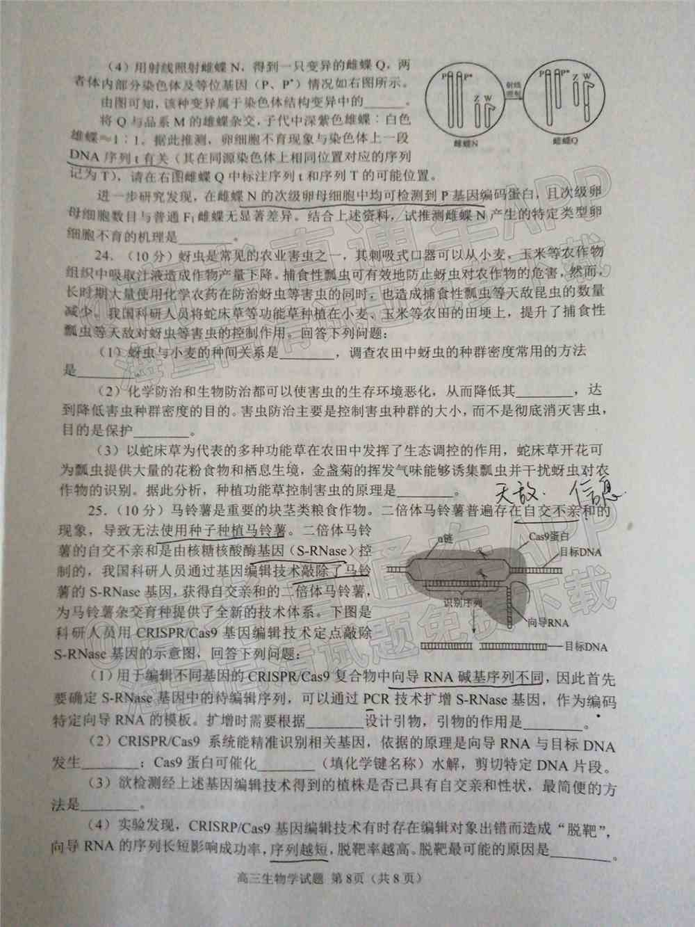 2022日照一模高三试卷及答案-山东日照一模高三答案