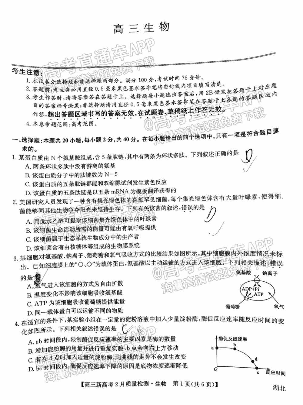 九师联盟2022高三2月联考（新高考卷）各科试卷及答案解析（更新中）