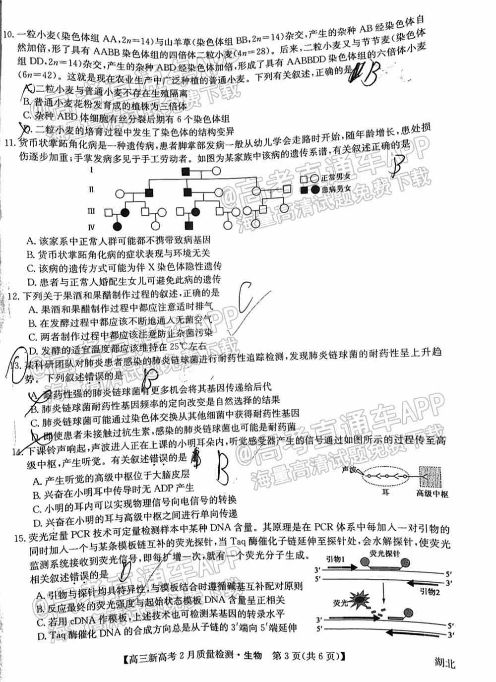 九师联盟2022高三2月联考（新高考卷）各科试卷及答案解析（更新中）