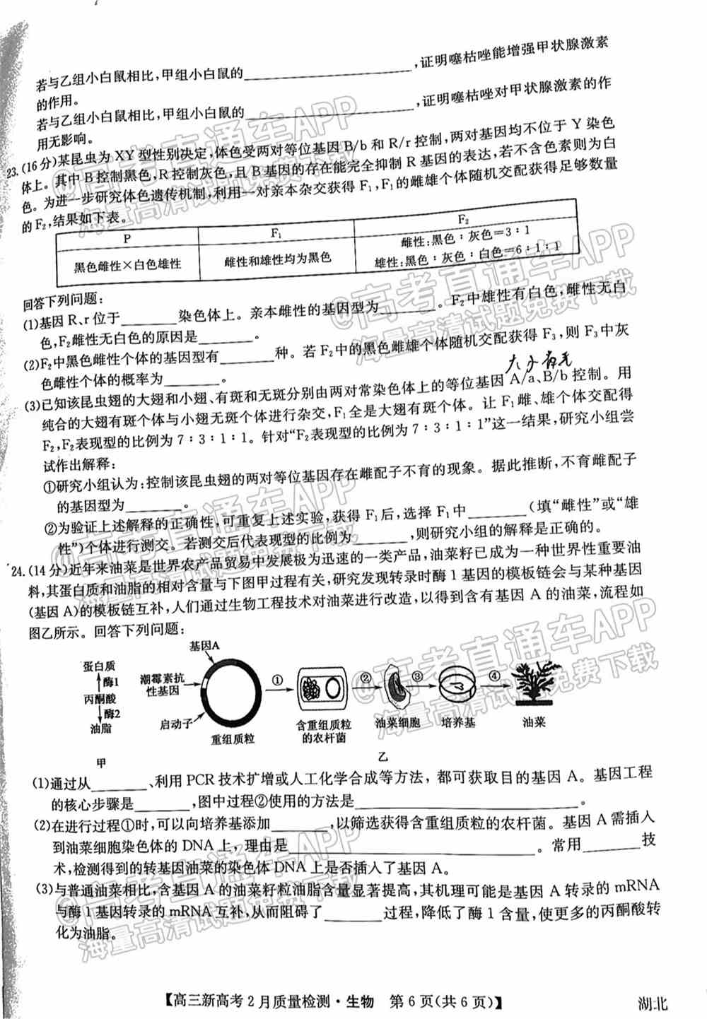 九师联盟2022高三2月联考（新高考卷）各科试卷及答案解析（更新中）